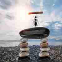 快﻿速​自﻿然​流﻿量‍插﻿件‍